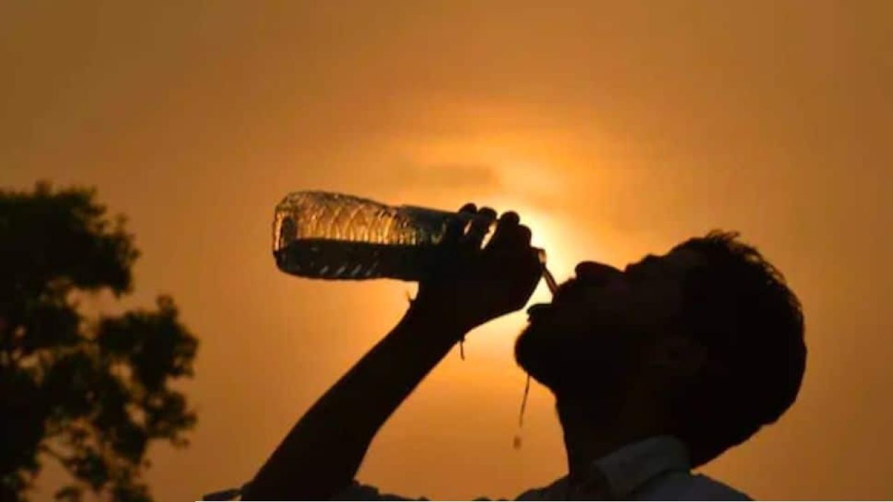 দোল উৎসবে আবহাওয়ার খামখেয়ালি: চড়া রোদ আর প্যাচপ্যাচে গরমে নাজেহাল হবে দক্ষিণবঙ্গ