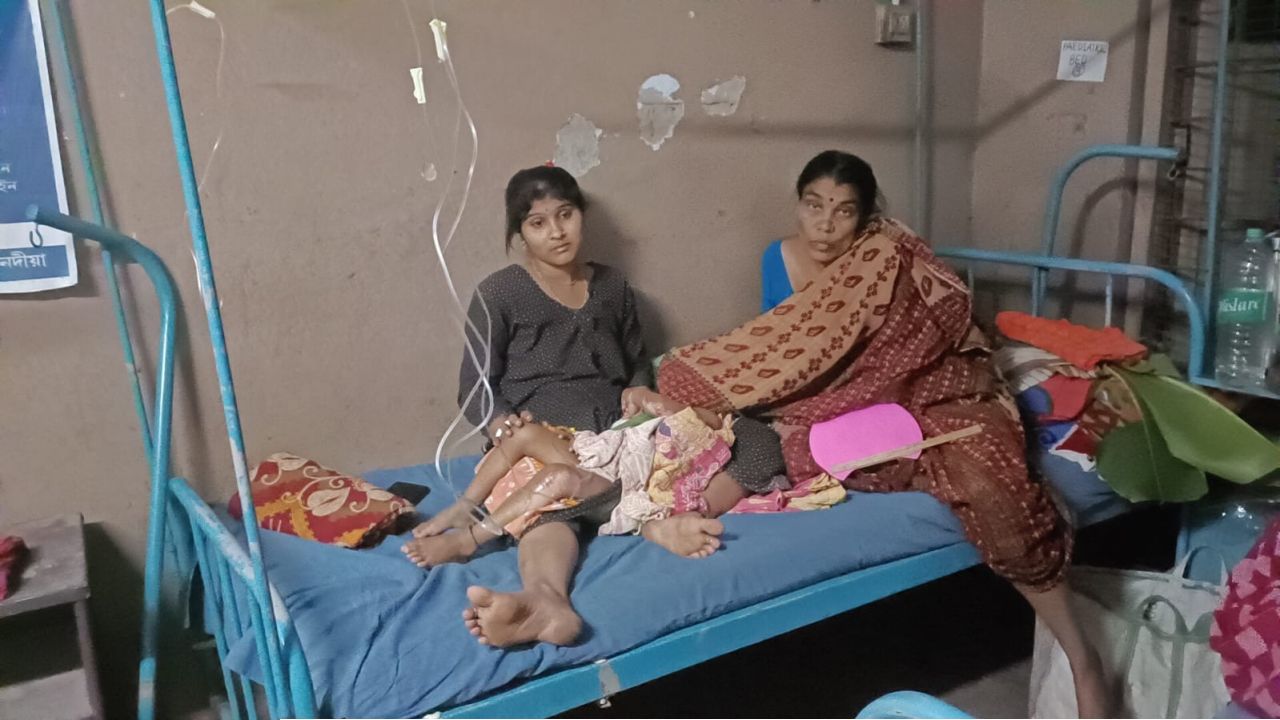 শান্তিপুরে বসন্ত উৎসবে বিপত্তি: উল্টে গেল ফুটন্ত খিচুড়ির কড়াই, শিশুসহ দগ্ধ একাধিক