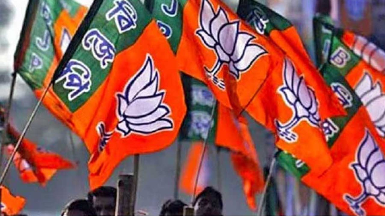 অনুদানের পাহাড়ে বিজেপি! লোকসভা ভোটের বছরে বাকিদের কয়েক যোজন পিছনে ফেলল গেরুয়া শিবির