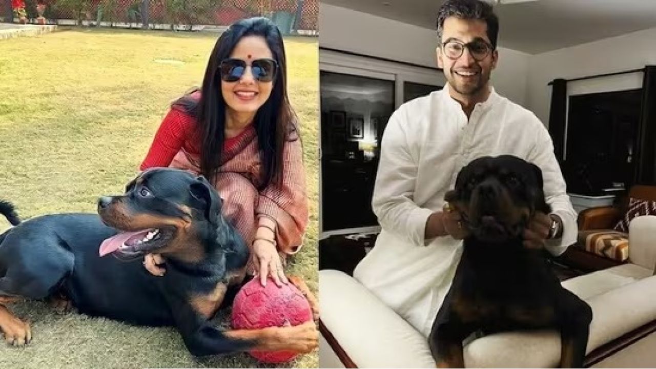 পোষ্য হেনরিকে নিয়ে মহুয়া-জয়ের লড়াই! তৃণমূল সাংসদের জবাব তলব দিল্লি হাইকোর্টের