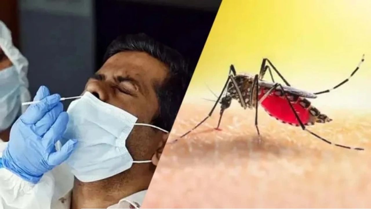 গরমেই বাড়ছে ডেঙ্গির দাপট! বদলে যাচ্ছে ভাইরাসের চরিত্র, বাড়ছে ঝুঁকি