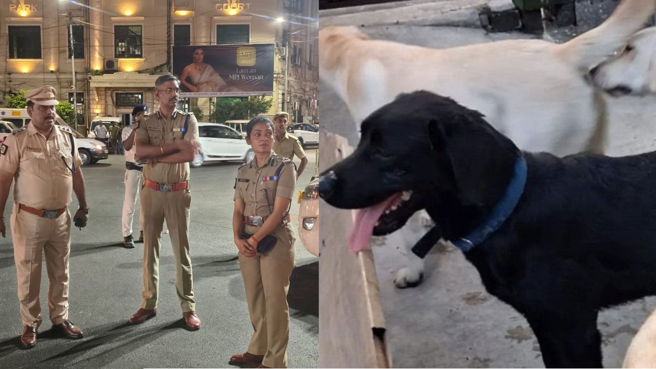 কলকাতা পুলিশের চার &lsquo;বিস্ফোরক বিশেষজ্ঞ&rsquo;: ভোটের ডিউটি দিয়েই হাতেখড়ি ইনা-টিনাদের