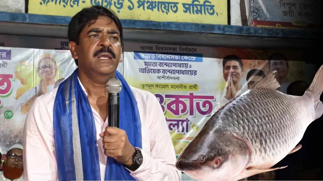 ‘মাছ চোর’ গানে চরম অস্বস্তিতে শওকত! এবার কি তবে জেলের ঘানি টানতে হবে গান নির্মাতাদের?