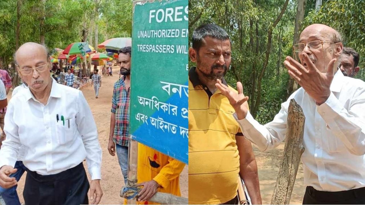 সোনাঝুরিতে একের পর এক গাছ কেটে সাফ! ‘আত্মহত্যার শামিল’, মন্তব্য পরিবেশপ্রেমী সুভাষ দত্তের