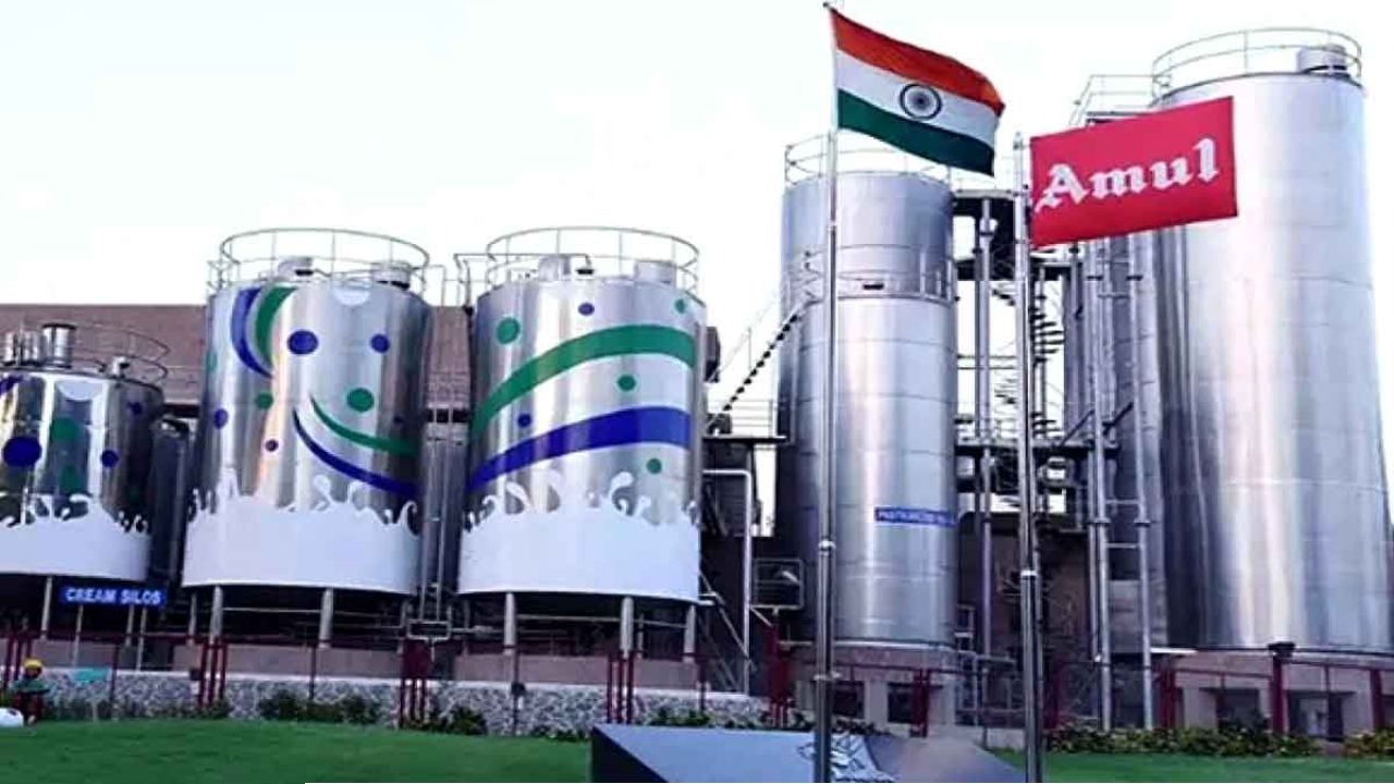 বাংলায় বিপুল বিনিয়োগ আমূলের? রাজ্যে ৬৫০ কোটি টাকার মেগা ডেয়ারি প্লান্ট গড়ার 'ঘোষণা'!