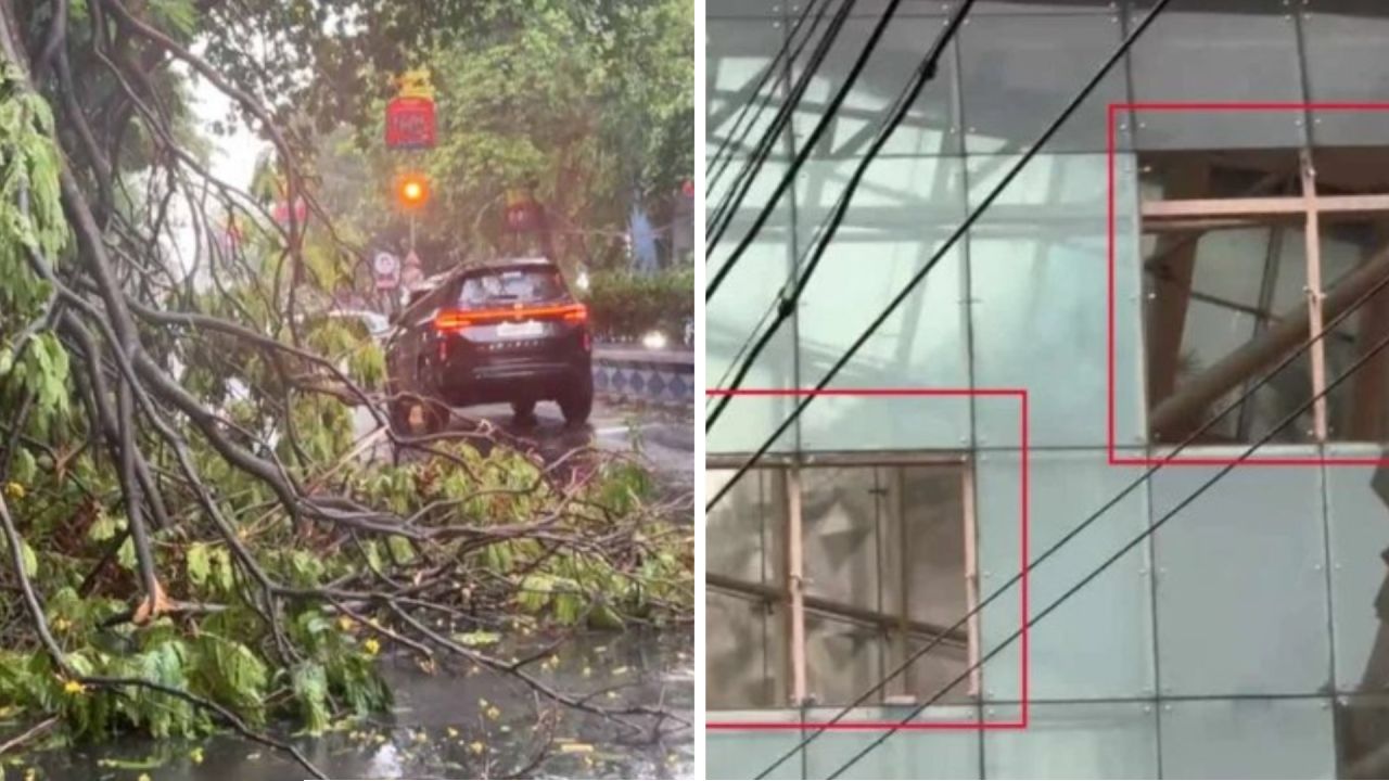  ঝড়ের তাণ্ডবে তছনছ তিলোত্তমা! উড়ল মেট্রোর শেড, শিয়ালদহ শাখায় ট্রেন চলাচল সম্পূর্ণ স্তব্ধ