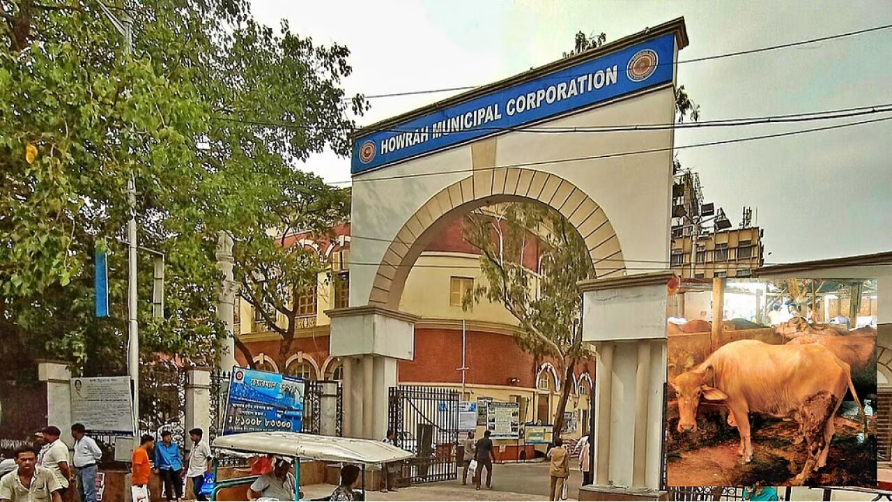 জল জমার সমস্যার স্থায়ী সমাধানে উদ্যোগী হাওড়া পুরসভা, ধাপে ধাপে সরানো হবে শহরের খাটাল