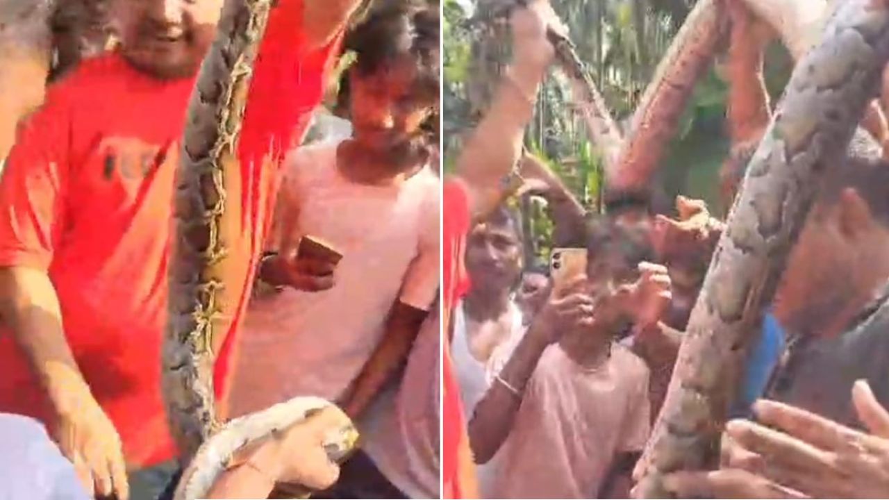 গলায় অজগর পেঁচিয়ে সেলফি! ভাইরাল ভিডিও ঘিরে তোলপাড়, কড়া বার্তা বনমন্ত্রীর