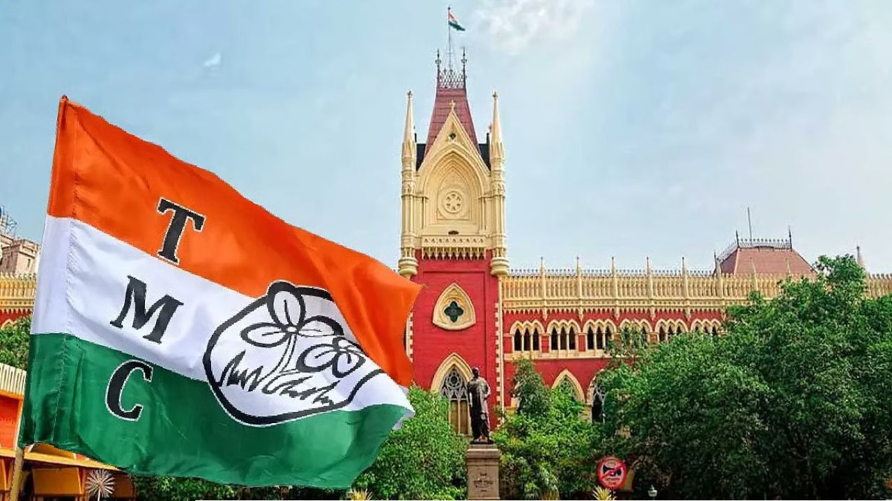 'কোন ভিত্তিতে তৃণমূলের অ্যাকাউন্ট ফ্রিজ?' পুলিশের পদক্ষেপে প্রশ্ন তুলে ব্যাঙ্কের কাছে রিপোর্ট চাইল হাইকোর্ট 