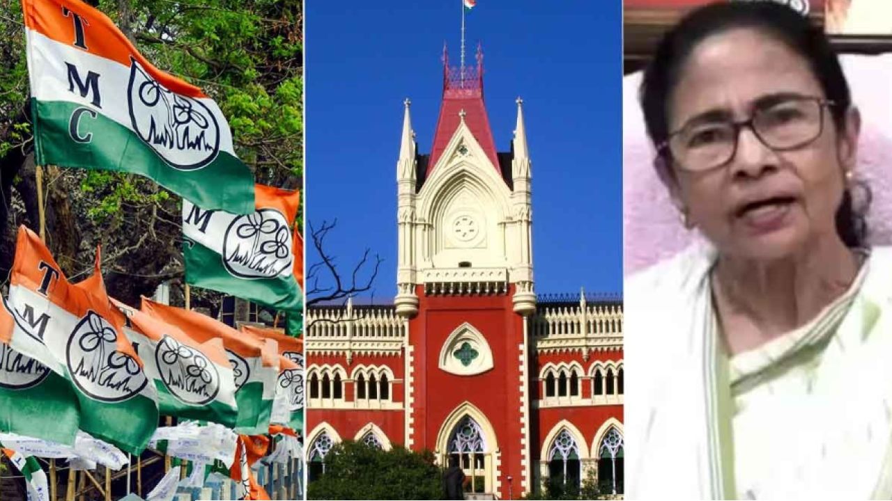 ২১ জুলাইয়ের পর কি ২৮ আগস্টও আদালতেই ফয়সালা? টিএমসিপির প্রতিষ্ঠা দিবসের অনুমতি না পেয়ে হাই কোর্টে কালীঘাট তৃণমূল