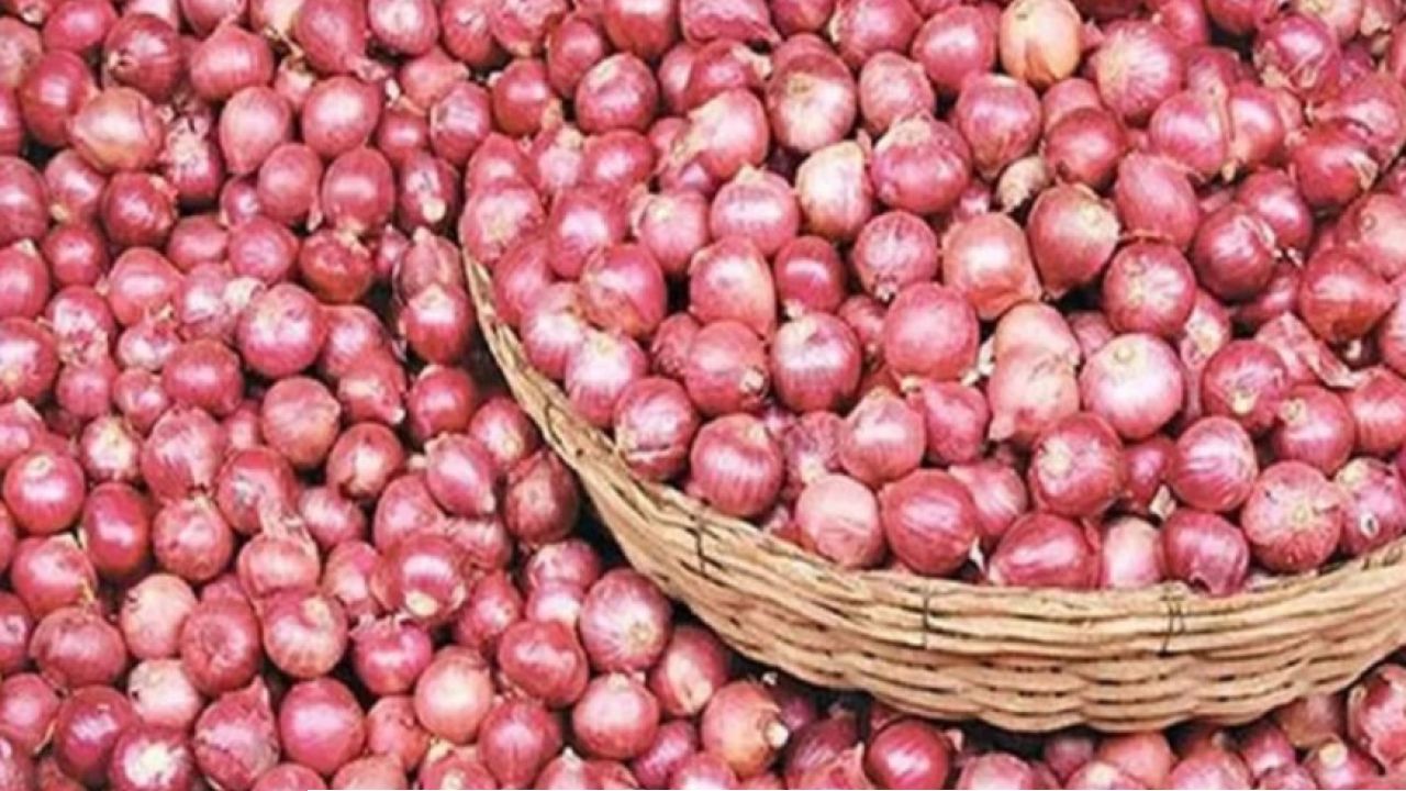 চিনির পর এবার পিঁয়াজেও আগুন! দামের ছ্যাঁকা থেকে বাঁচাতে মোদী সরকারের ‘কান্দা এক্সপ্রেস’