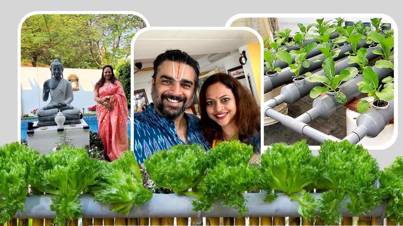 মাটি নেই, তবু ফলছে সব্জি! ‘ম্যাডি’র ১৭ কোটির বাংলোর ছাদে এ কী কাণ্ড?