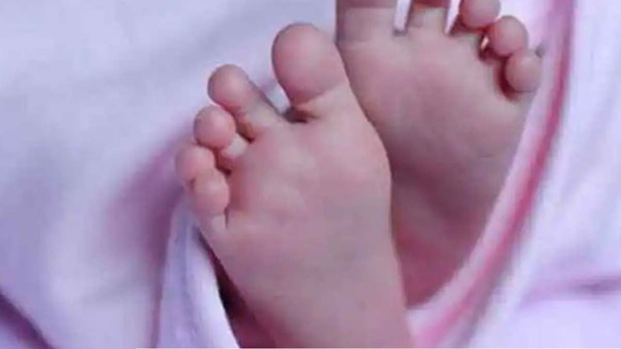 নৃশংসতার চূড়ান্ত ছবি মুর্শিদাবাদে! ১১ দিনের শিশুকন্যার দেহ বাথরুমের বালতিতে, গ্রেফতার মা 