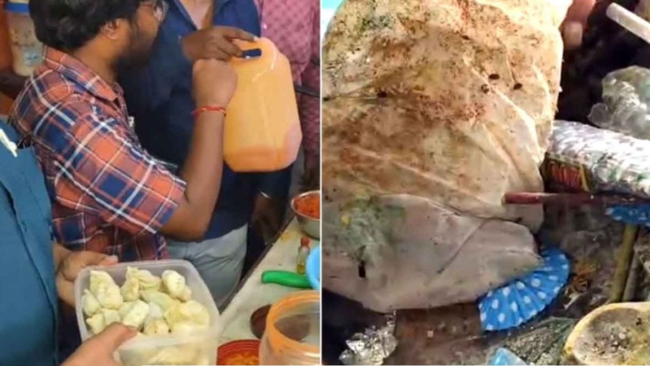 পচা খোয়া! কিলবিল করছে আরশোলা, মোমোয় সাদা ছত্রাক; দুর্গাপুরে হানা দিয়ে মাথায় হাত খাদ্য দপ্তরের