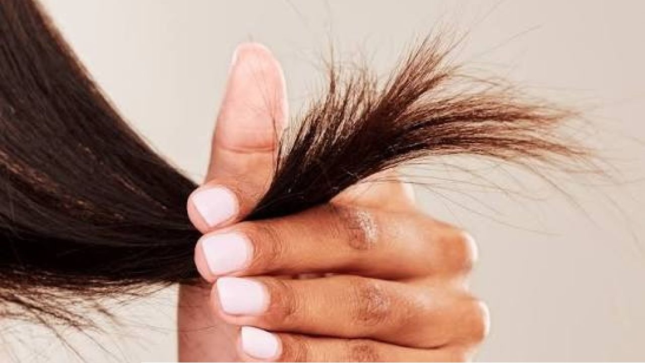 Durga Puja Hair Care: বারবার আঁচড়েও জট ছাড়ছে না, ডগাও ফেটে যাচ্ছে! পুজোর আগে চুলের হাল ফেরাতে কী করবেন?