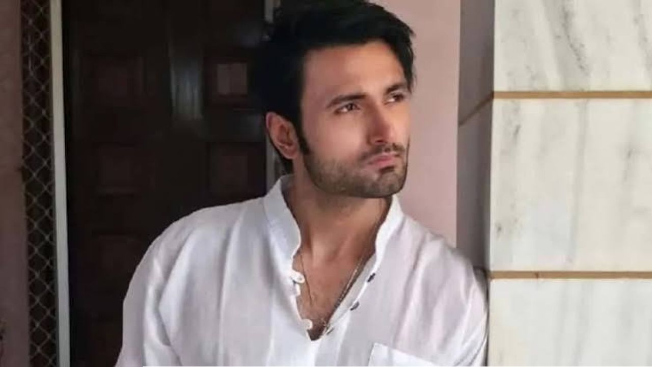 Sean Banerjee: চোট কাটিয়ে বিগ বসের ঘরে ফিরছেন শন? চতুর্থ ওয়াইল্ড কার্ড এন্ট্রি ঘিরে তুঙ্গে জল্পনা