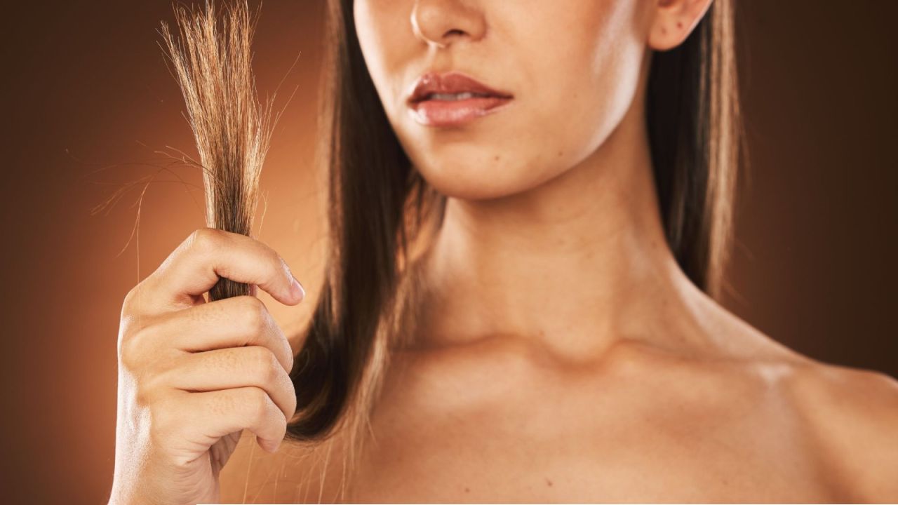 PUJA HAIRCARE- চুলে অপুষ্টি, পুজোর আগে তড়িঘড়ি সৌন্দর্য ফেরাতে কোনও বড় ঝুঁকি নিচ্ছেন না তো? 