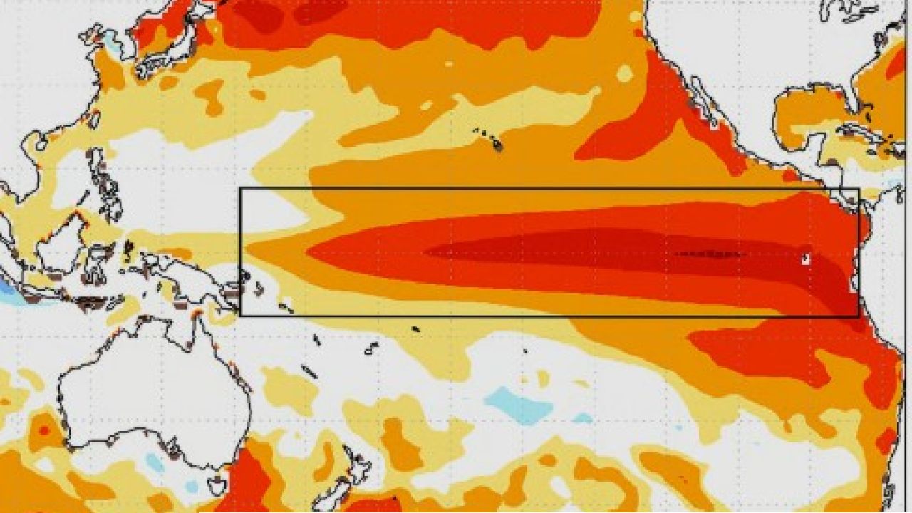 Super El Nino: শীতেও উধাও হবে ঠান্ডা, বিশ্বজুড়ে লাল সতর্কবার্তা! রাষ্ট্রসংঘের আশঙ্কায় কাঁপছে পৃথিবী, আসছে ‘সুপার ডুপার এল নিনো’?